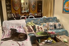 Property 65401 photo 5