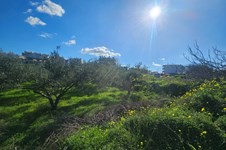 Property 65403 photo 2