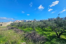 Property 65403 photo 3