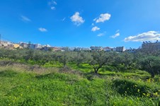 Property 65403 photo 1