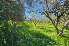 Property 65403 photo 9