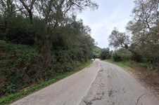 Property 65405 photo 12