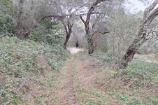 Property 65405 photo 10