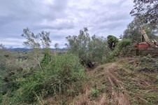 Property 65405 photo 2