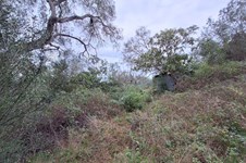 Property 65405 photo 5