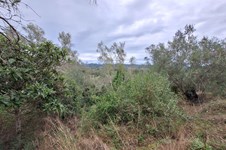 Property 65405 photo 1