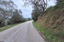 Property 65405 photo 14