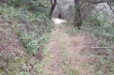 Property 65405 photo 11