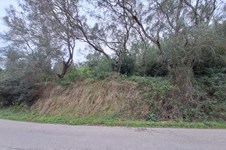 Property 65405 photo 13