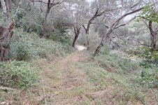 Property 65405 photo 9