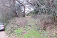 Property 65405 photo 8