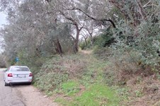 Property 65405 photo 15