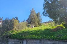 Property 65412 photo 12