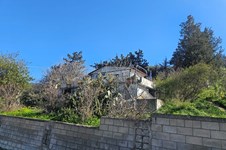 Property 65412 photo 2