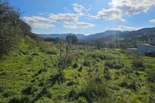 Property 65413 photo 9