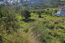 Property 65413 photo 7