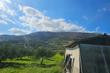 Property 65413 photo 4