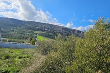 Property 65413 photo 8