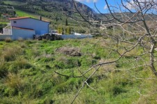 Property 65413 photo 3