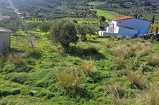 Property 65413 photo 1