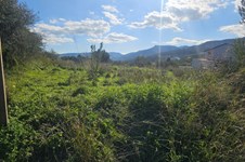 Property 65413 photo 6