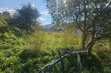 Property 65413 photo 5