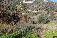 Property 65418 photo 4