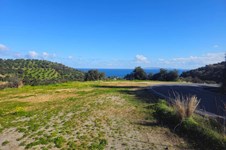 Property 65418 photo 6