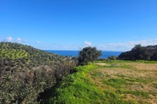 Property 65418 photo 1