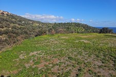 Property 65420 photo 2