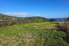 Property 65420 photo 3