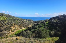 Property 65423 photo 13