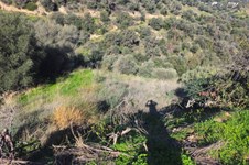 Property 65423 photo 9