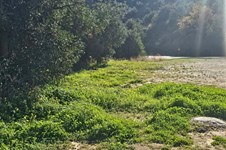 Property 65423 photo 6