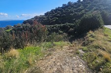 Property 65423 photo 11