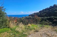 Property 65423 photo 7