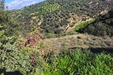 Property 65423 photo 4