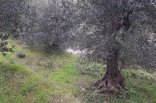 Property 65424 photo 7