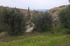 Property 65424 photo 6