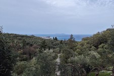 Property 65424 photo 1