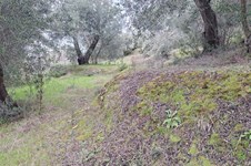 Property 65424 photo 3