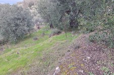 Property 65424 photo 4