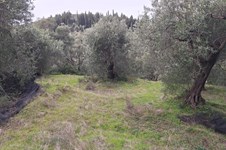 Property 65425 photo 5