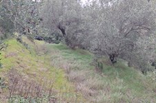 Property 65425 photo 4