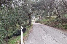 Property 65426 photo 8