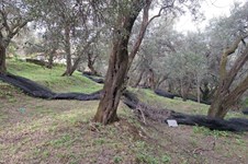 Property 65426 photo 2