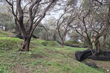 Property 65426 photo 6