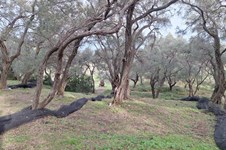 Property 65426 photo 3