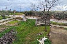 Property 65437 photo 7