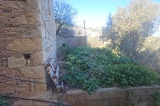 Property 65444 photo 12